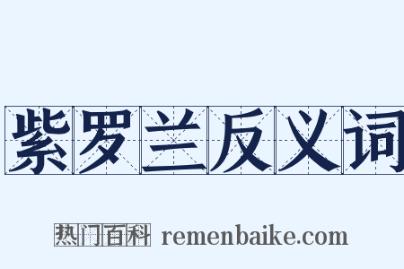 紫罗兰反义词是什么意思的图片